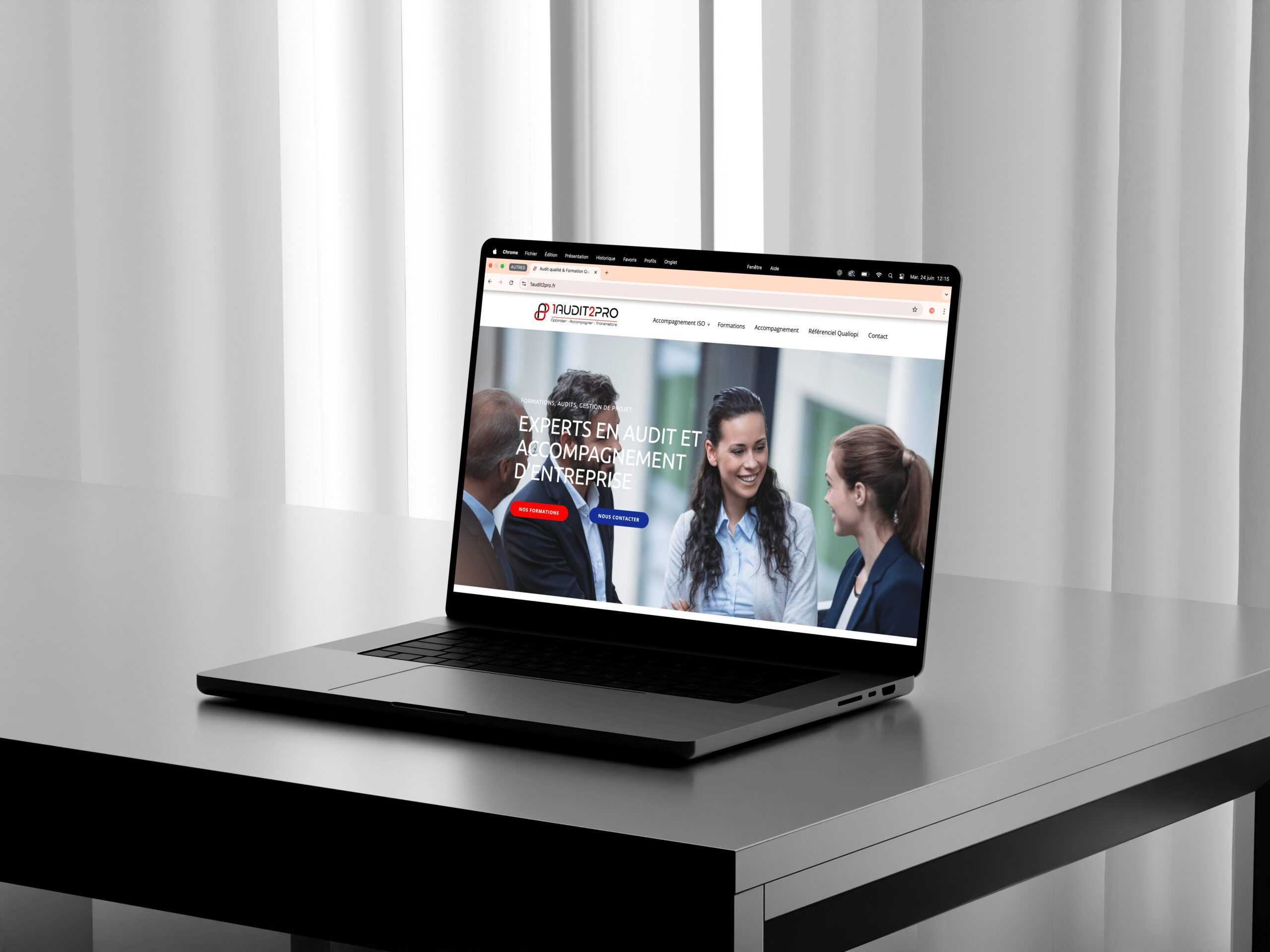 Site web 1audit2pro